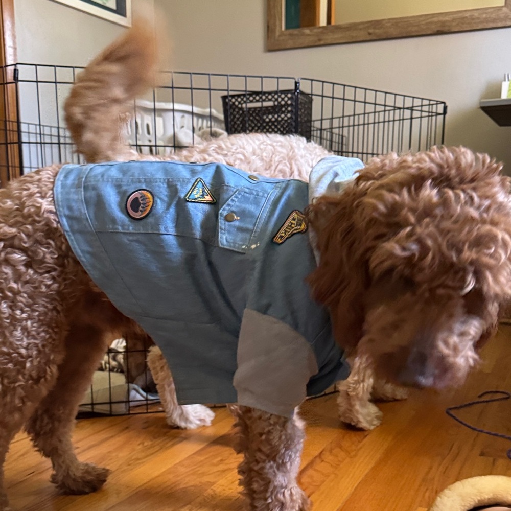 Top Paw Dog Jean Jacket size L